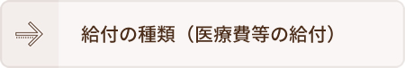 給付の種類（医療費等の給付）