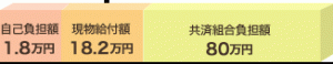 自己負担額のグラフ画像